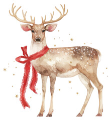 Wall Mural - PNG Reindeer illustration watercolor christmas.