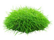 © Cristian - a close up of a green grass
