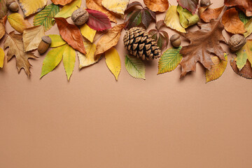 Canvas Print - Composition with fallen leaves, pine cone, acorns and walnuts on color background