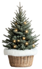 Wall Mural - png minimalist christmas tree basket lights base.