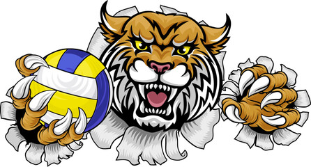 Canvas Print - A wildcat cougar lynx lion volleyball animal sports mascot holding a volley ball in his claw