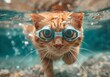 © Adobe Contributor - A ginger cat wearing swimming goggles swims underwater