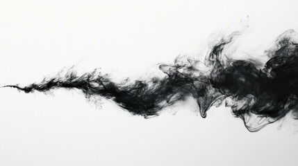 Wall Mural - Abstract Black Ink Swirl on White Background