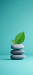 © Thanaphon - stack of grey stones with green leaf on top, symbolizing tranquility