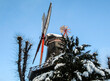 Looking up at the 18th Century windmill, covered in snow against a pale blue winter sky in Wallenlagen Park in Bremen, Germany