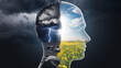 © Tom - A conceptual image depicting the duality of the human mind with stormy clouds on one side and a bright, sunny landscape on the other, symbolizing contrast.
