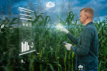 Smart monitoring corn plant on plantation, Farmer using digital tablet in corn crop cultivated field with smart farming interface icons. Smart and new technology for agriculture business concept