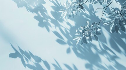 Poster - Light blue background with subtle shadows of tree branches for product display.