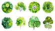© Chelebi - Set of abstract watercolor green tree top view isolated on white background for landscape plan and architecture layout drawing,elements for environment and garden close up