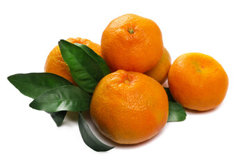 Wall Mural - Tangerines with green leaves isolated on white, side view