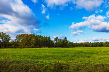 Wall Mural - Expansive green field with vibrant grass under partly cloudy blue sky, bordered by autumn-colored trees. Sweden.