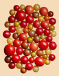 © Ralph Smith - Assorted Tomatoes on Colored Background in Minimalist Style