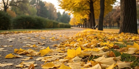 Wall Mural - golden yellow leaves scattered on the ground, rustling leaves, colorful leaves, outdoor scene, vibra