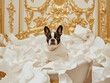 © ekampos - A Boston terrier destroying soft white toilet paper in a beautiful bathroom