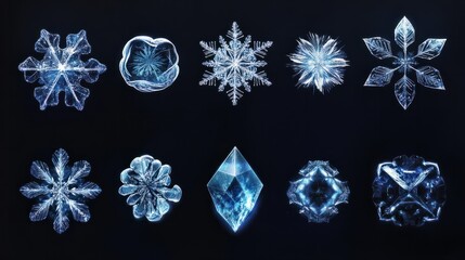 Wall Mural - different blue snowflake illustrations isolated