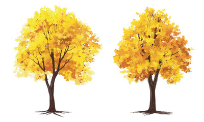 vertor set of autumn tree,plants side view for landscape elevation and section,eco environment conce