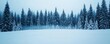 © Nongluk Tama - Snow-covered forest with ambient blue lighting, cold fog rising, peaceful winter atmosphere
