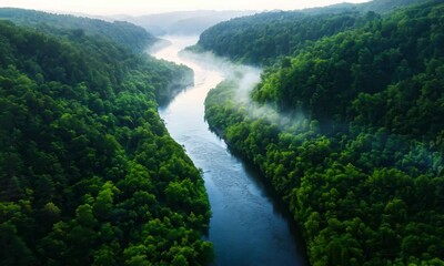 Poster - Aerial View of Serene River Flowing Through Lush Green Forest in Misty Morning Light