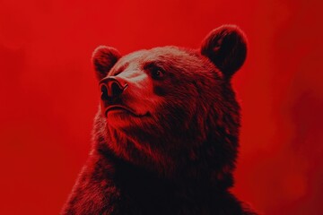 Wall Mural - Brown Bear on Red Background