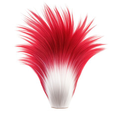 Wall Mural - A red and white feathery flower with a red tip. transparent background