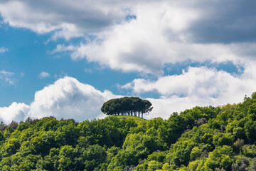 Wall Mural - San Benedetto hills - Marostica