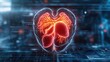 © pisan - Advanced Medical Diagnostics Layered Hologram of Human Organs for Enhanced Visualization and Anatomical Understanding