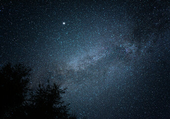 Wall Mural - starry sky. night scape with beautiful starry sky