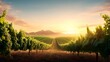© จิดาภา มีรีวี - Serene vineyard at sunset with lush grapevines
