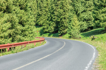 Wall Mural - Forest and mountains with empty road