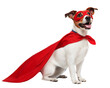 © stockpro - Superhero dog in costume with a red cape on a transparent or white isolate background.