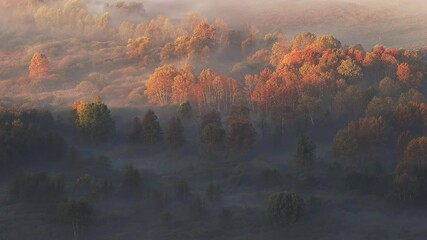 Sticker - The advance of sunrise, autumn landscape near Como lake, Italy