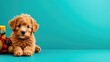 © Jammy - A cute brown puppy sits on a vibrant teal background, surrounded by colorful toys and decorations, exuding playful charm and innocence.