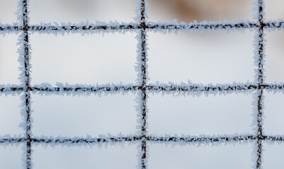 Wall Mural - A fence covered in ice and snow