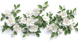 Delicate white gardenia jasminoides flowers isolated on white 3d illustration