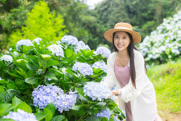 Wall Mural - Beautiful pregnant woman in Hydrangea flower farm garden