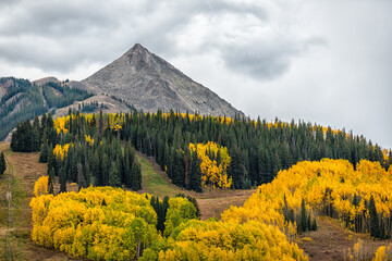 Wall Mural - Mount Crested Butte, Colorado view in autumn at Rocky mountains with yellow fall colors on Aspen trees