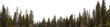 © Craig Taylor Photo - Panorama of spruce forest in the early winter with a transparent sky