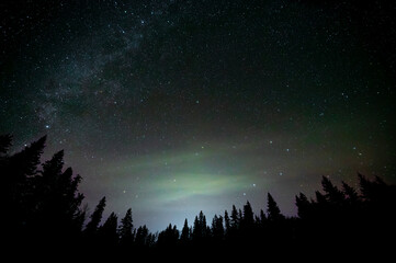 Wall Mural - night sky with milky way millions of colored stars aurora and tree silhouettes