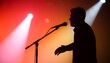 © Abidkal - Silhouette of a singer performing on stage.