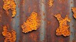 © Paul - Close-up of rusted metal with corroded spots and fine textures, detailed corrosion spreading like veins, warm orange and brown industrial tones