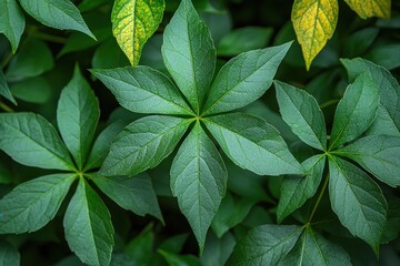 Wall Mural - Lush Green Leaf Texture Nature Background Botany Foliage Plants