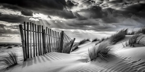 Sticker - Black and White Serenity: A Wooden Fence Partially Buried in Beach Dunes Capturing the Tranquility of Nature's Elements in a Timeless Monochrome Scene