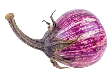 A single purple eggplant on a white background