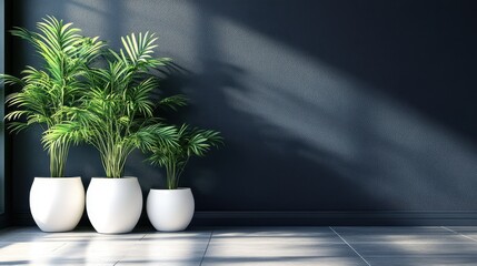 Wall Mural - Sunlight illuminating potted plants against a dark wall in modern interior design