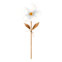 Sticker - Delicate White Flower with Golden Stem and Leaves, Perfect for Nature Themes, Floral Designs, or Elegant Backgrounds in Art and Graphics Projects