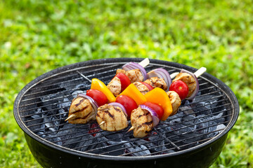 Sticker - meat and vegetable skewers