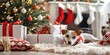 © KM - Pet-friendly Christmas Living Room Decor with Stockings and Tree