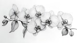 Delicate orchids flourish in elegant design