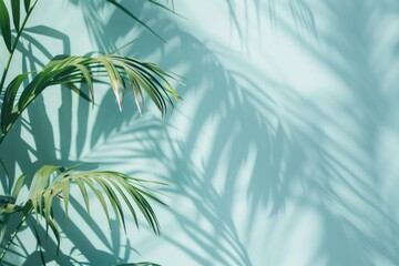 Wall Mural - abstract palm leaf shadow background for product presentation in spring summer.
