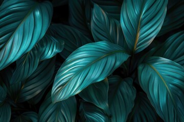 Wall Mural - close up bright blue green spathiphyllum leaf in tropical forest.